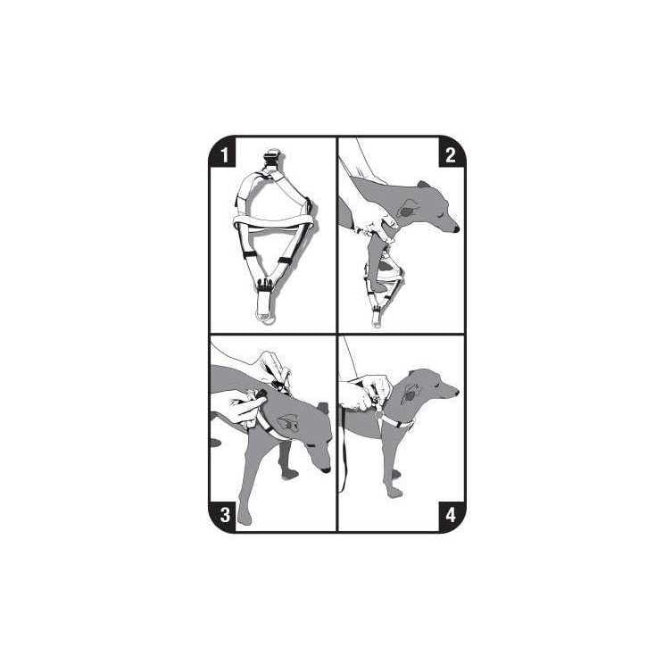 Step-In Dog Harness Y508