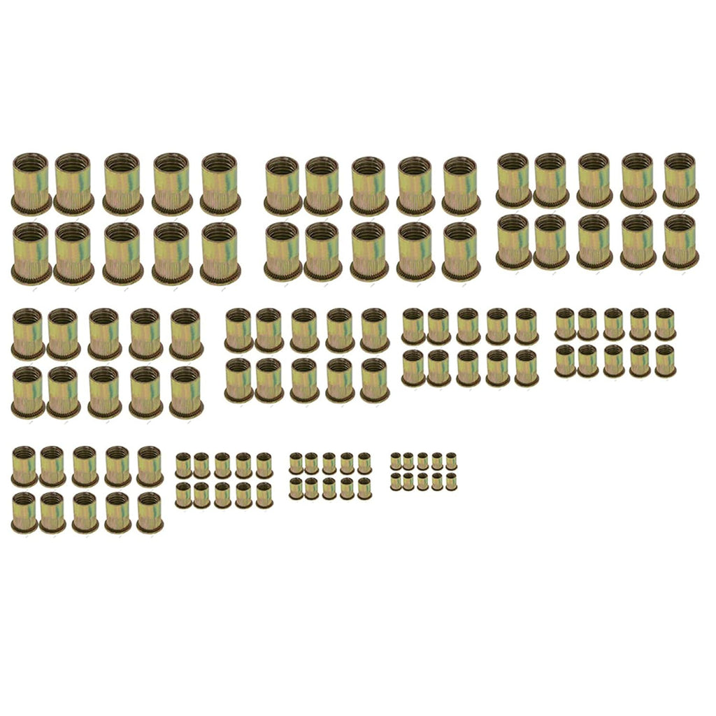 16 Rivet Nut Tool Hand Blind Riveter Kit with 11PCS Metric and Mandrels 110Pcs Assorted Rivet Nuts L100339