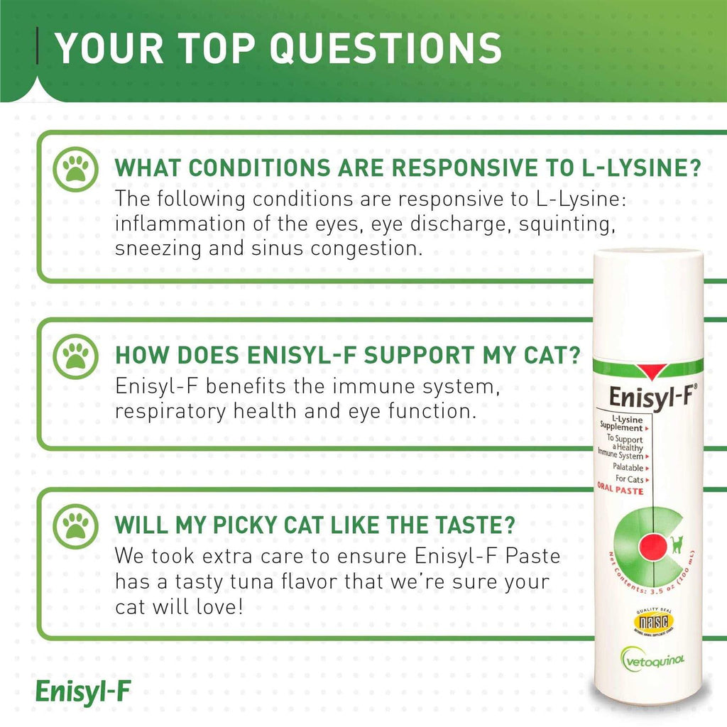 Oral Paste for Cats K916115