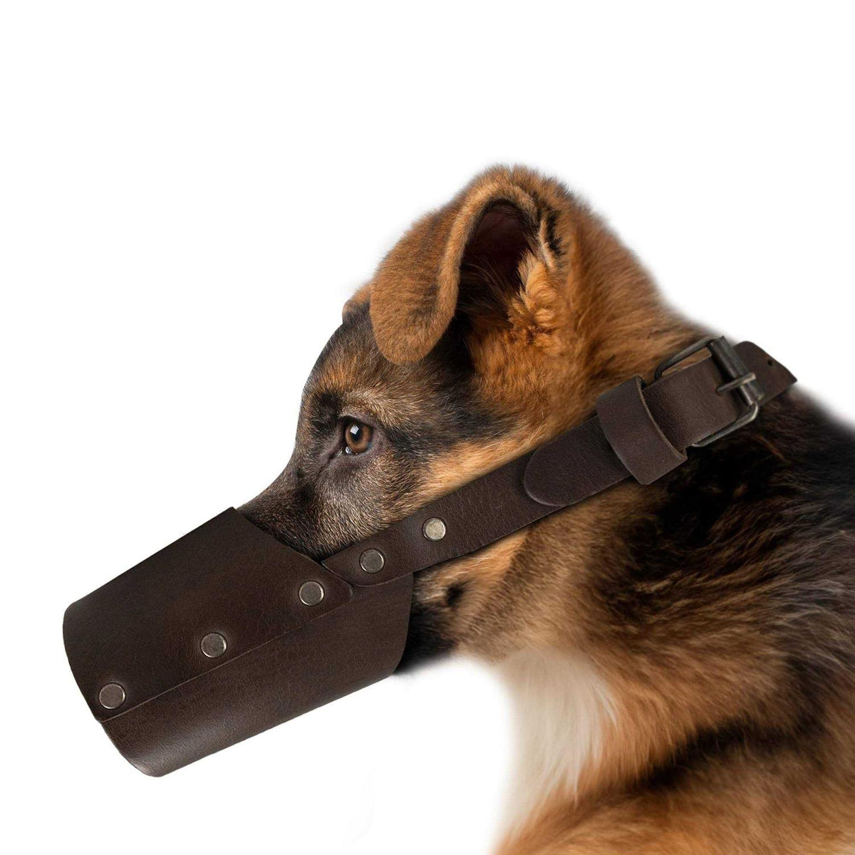 Leather Dog Muzzle B95298