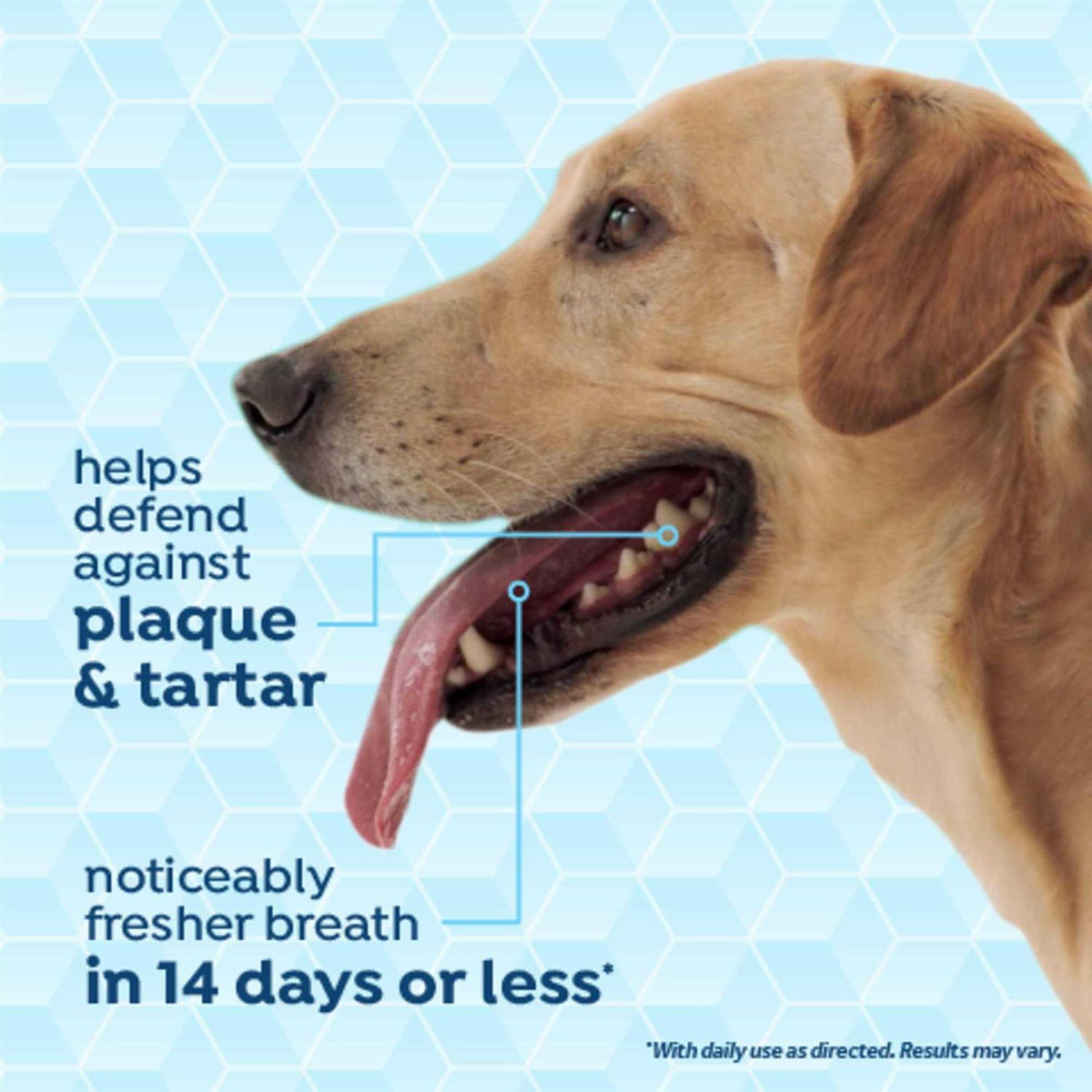 Fresh Breath Dog Dental Health Solution T27511