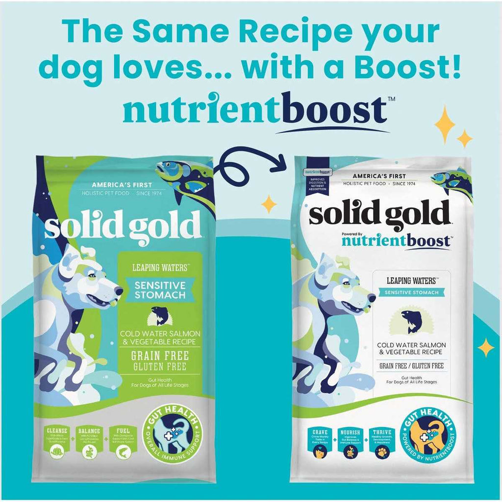 Dry Dog Food Q4772