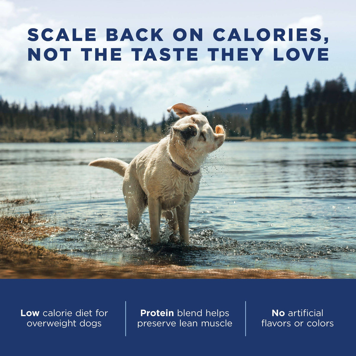 28 lb Chicken Meal Salmon Meal Barley Formula Dog Food G306