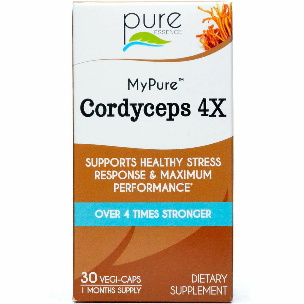 Cordyceps X33245
