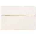 250 per Pack Envelopes N325954