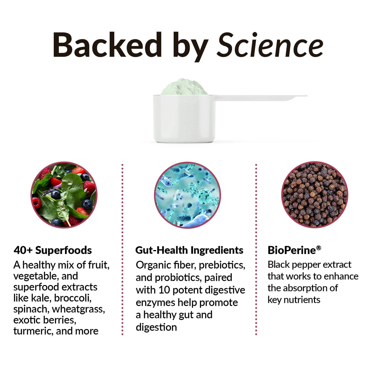 Superfood Greens Powder 30 Servings E979568