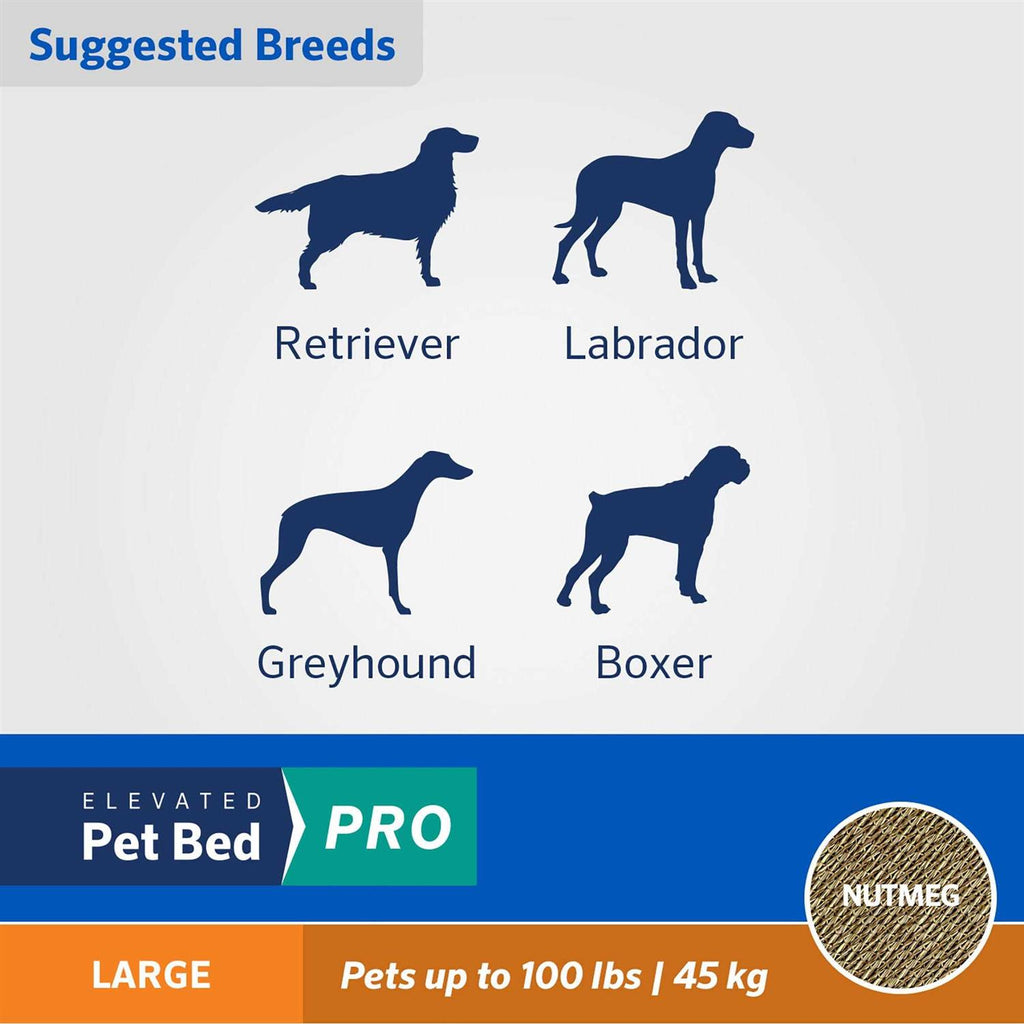 Elevated Pet Bed K923688