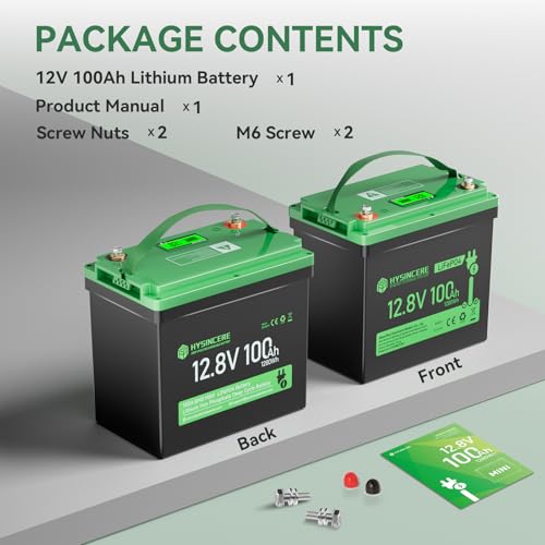 12V 100Ah LiFePO4 Lithium Battery, Mini Deep Cycle Rechargeable, 100A BMS T552
