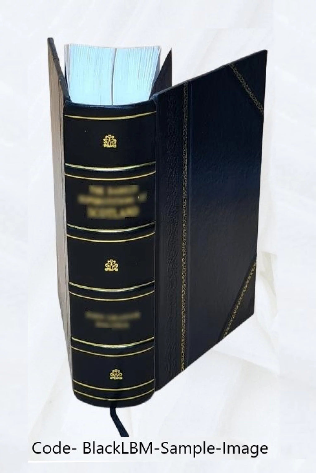 Leather Bound C231591