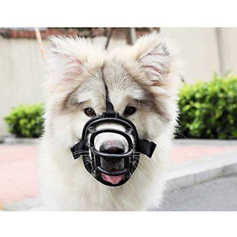 Leather Dog Muzzle B95298