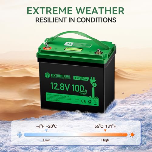 12V 100Ah LiFePO4 Lithium Battery, Mini Deep Cycle Rechargeable, 100A BMS T552