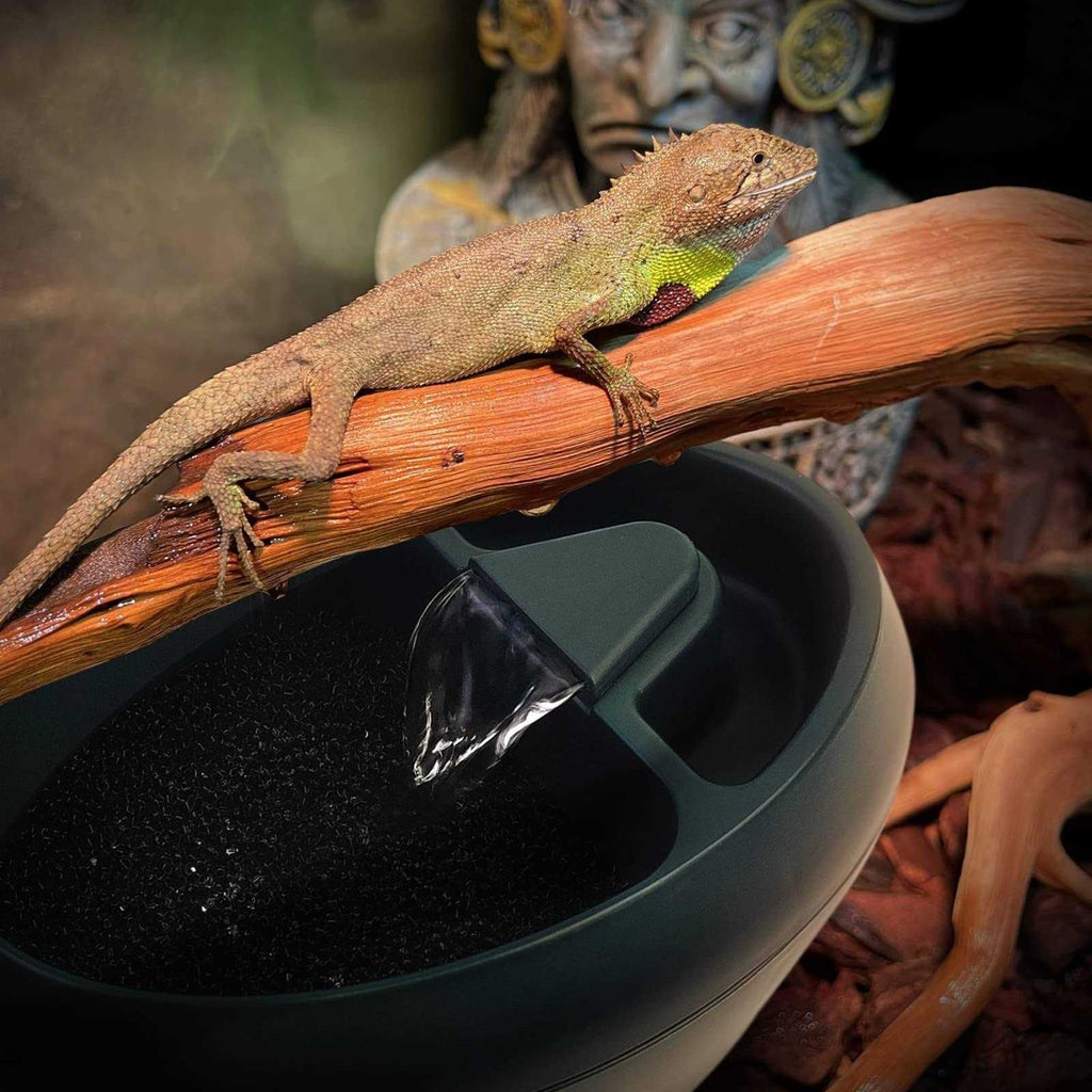 Reptile Drinking Water Fountain with Trough Y5766