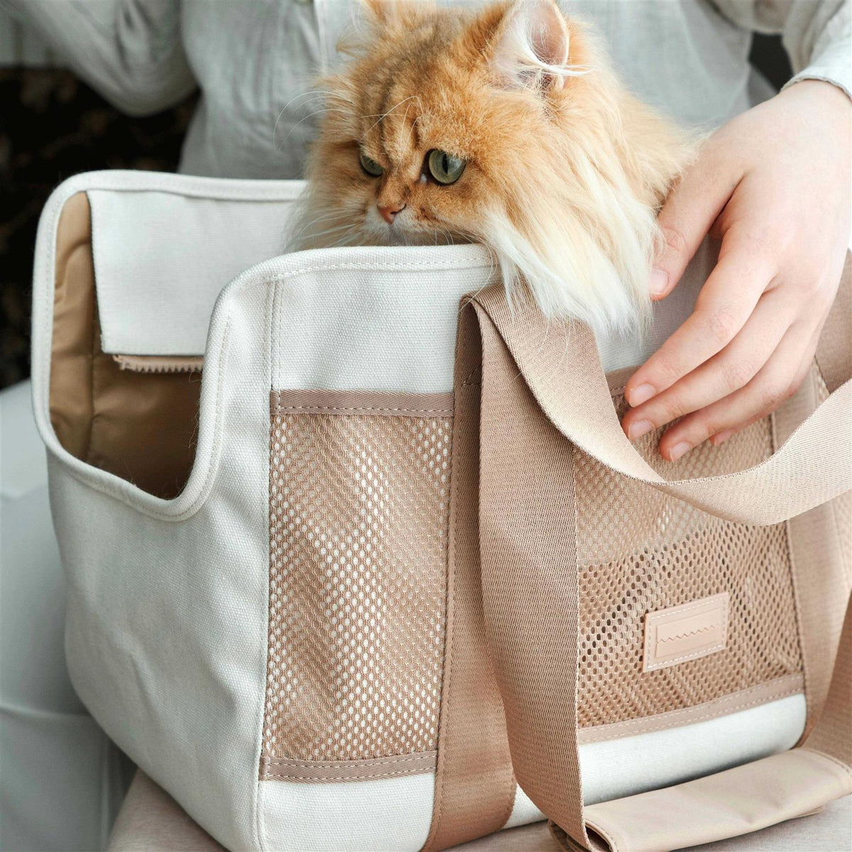 Canvas Lightweight Water Resistant Pet Carrier E265192