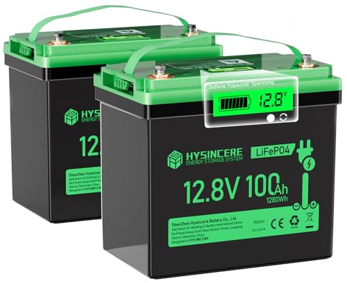 12V 100Ah LiFePO4 Lithium Battery, Mini Deep Cycle Rechargeable, 100A BMS T552