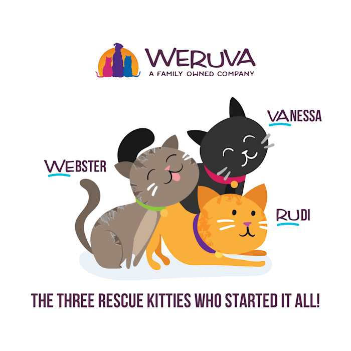 Variety Pack Wet Cat Food Y696276