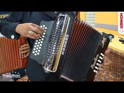 Diatonic Accordion G598