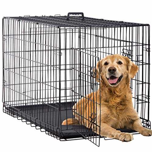 48 Inch Folding Wire Dog Crate with Double-Door H925958