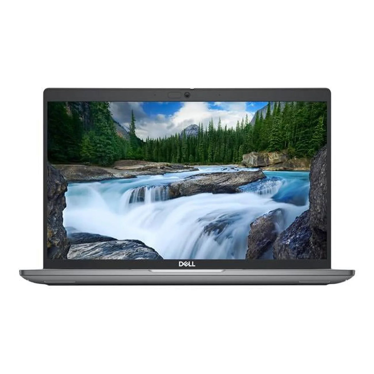 Gray 14 in. Laptop R63183
