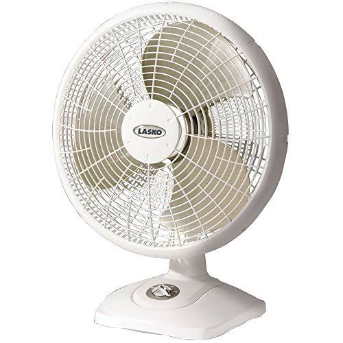 16 Desktop Fan with 90 Oscillation, 3 Speeds and Carry Handle I96844