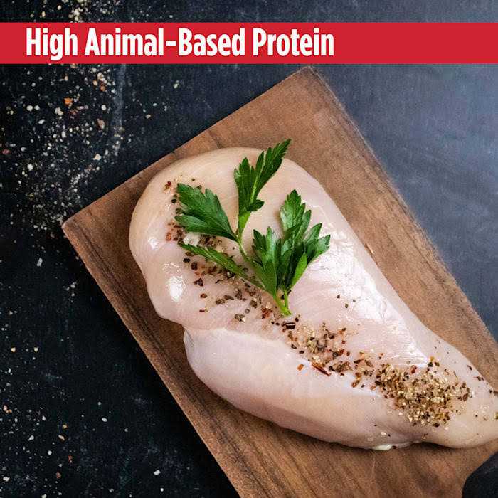 Grain Free Turkey & Chicken Cat & Kitten Food Y785357