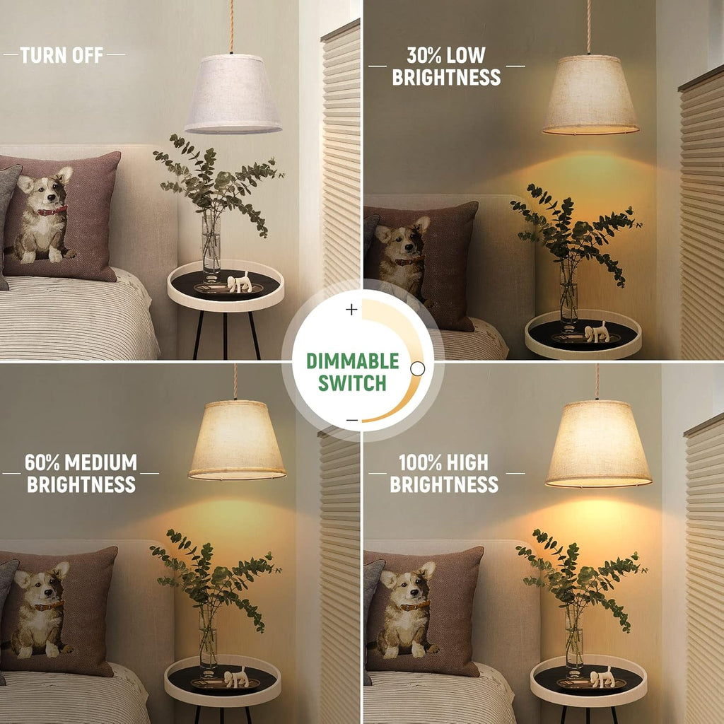 Plug in Pendant Light with Dimmable Switch and 15 ft Hemp Rope Cord T702