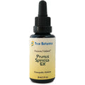 Prunus Spinosa 6X 30 mL O6029