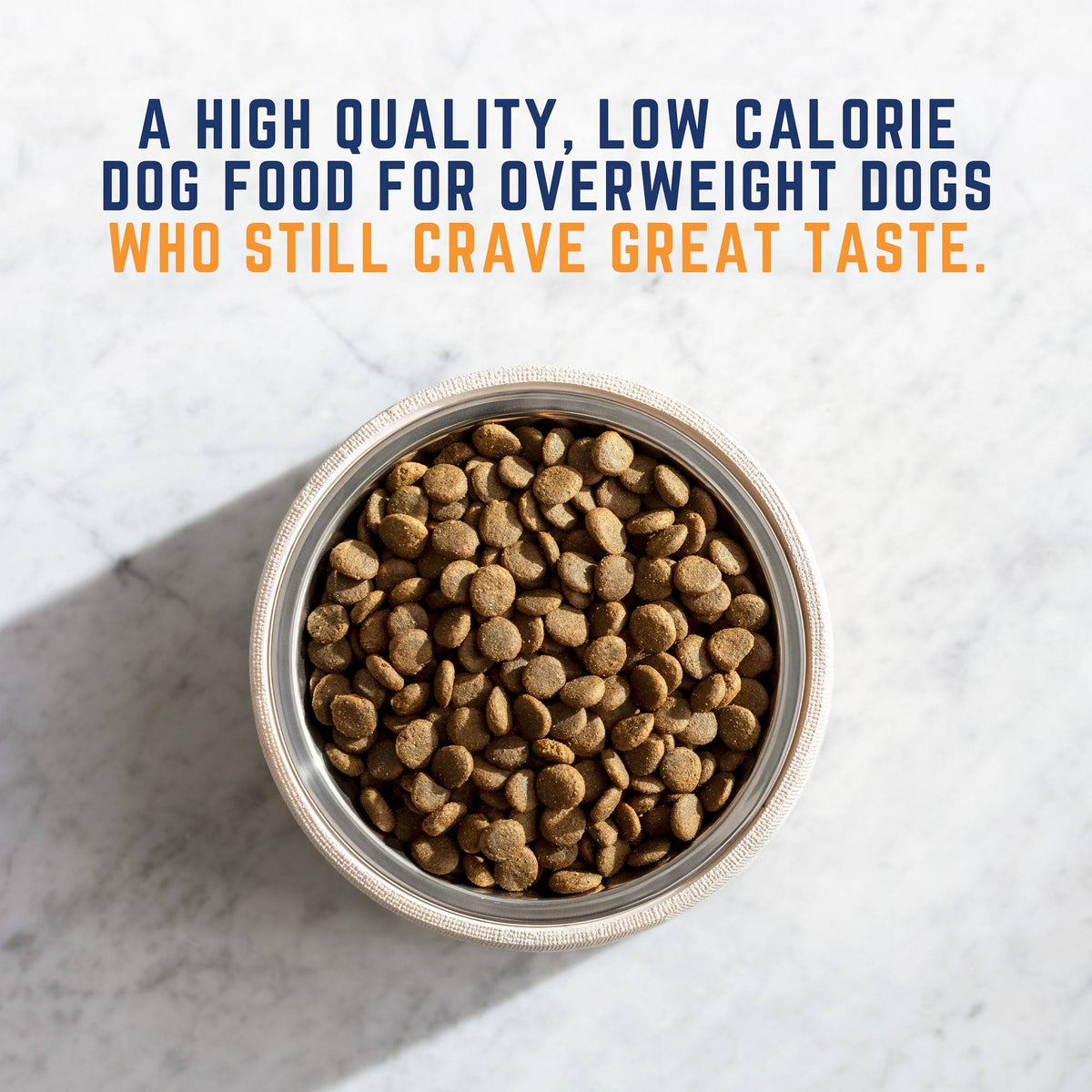 28 lb Chicken Meal Salmon Meal Barley Formula Dog Food G306