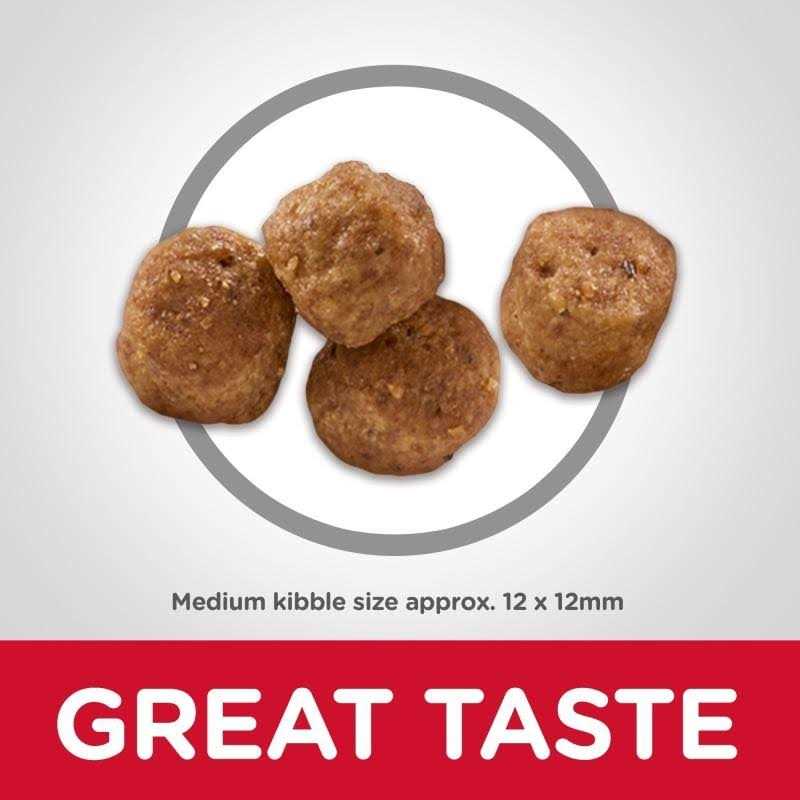 Dry Dog Food U7306