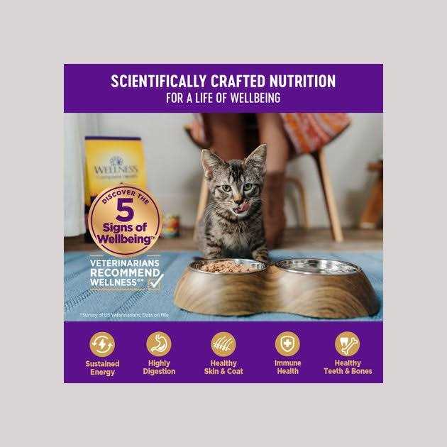 Grain Free Wet Cat Food V925