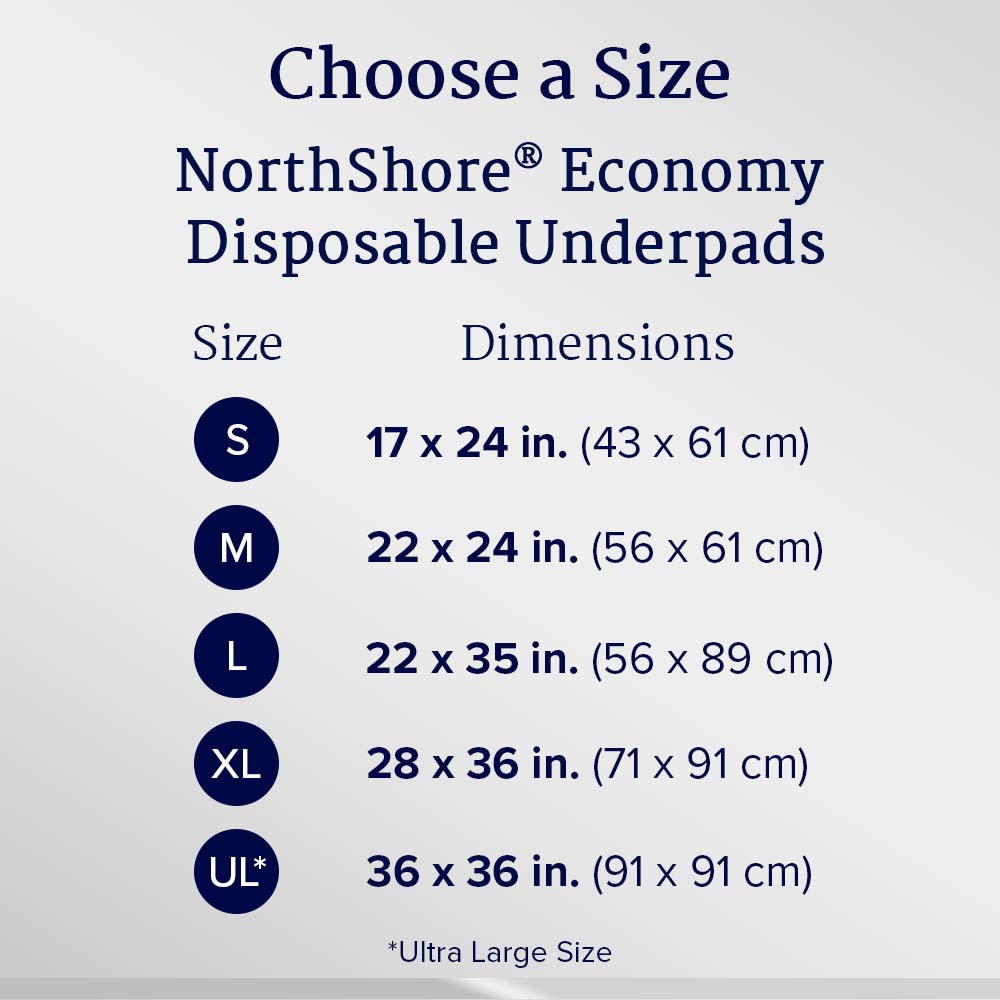 Economy Disposable Underpads, Small, 17x24 in., Case/200 D41016
