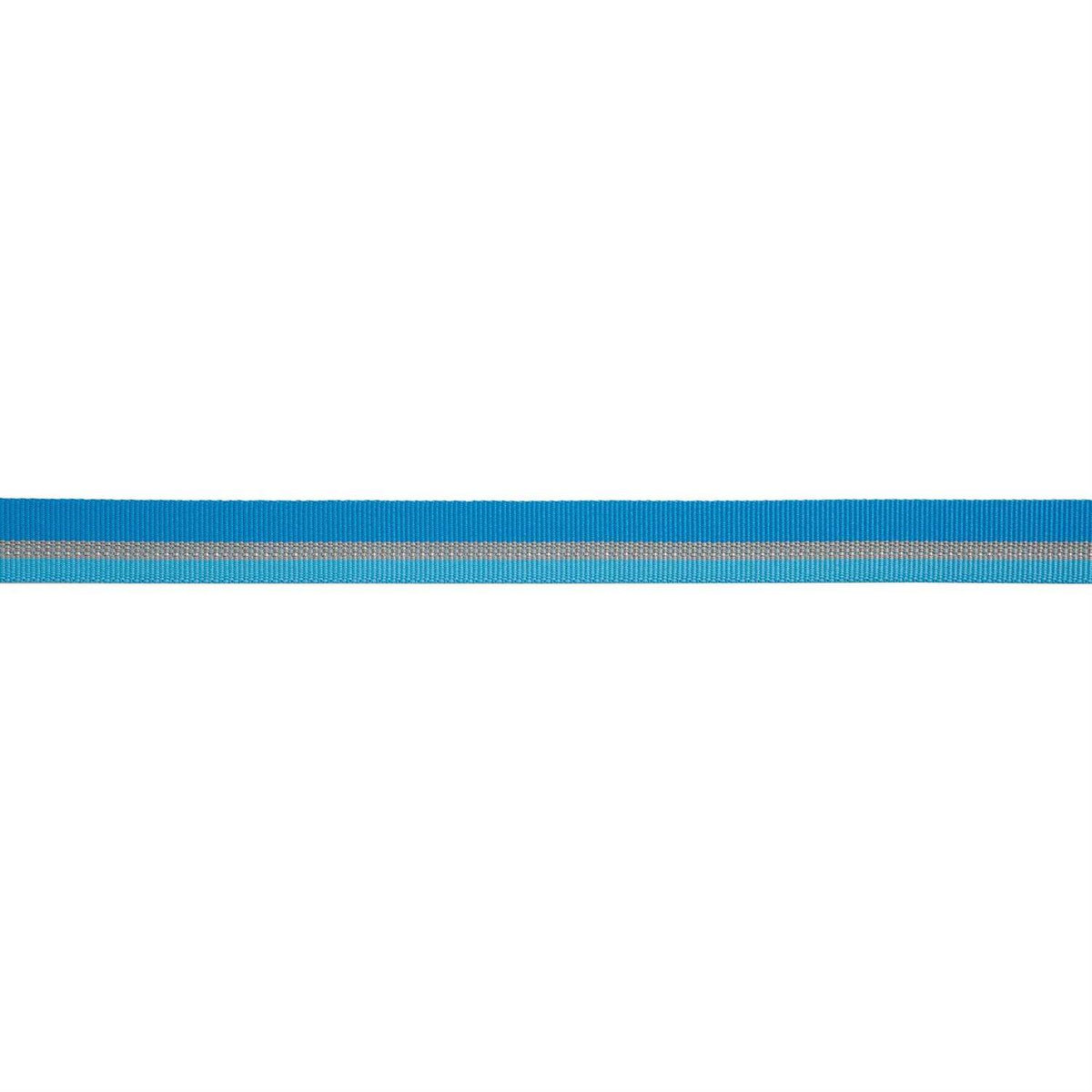 Dog Collar X8202