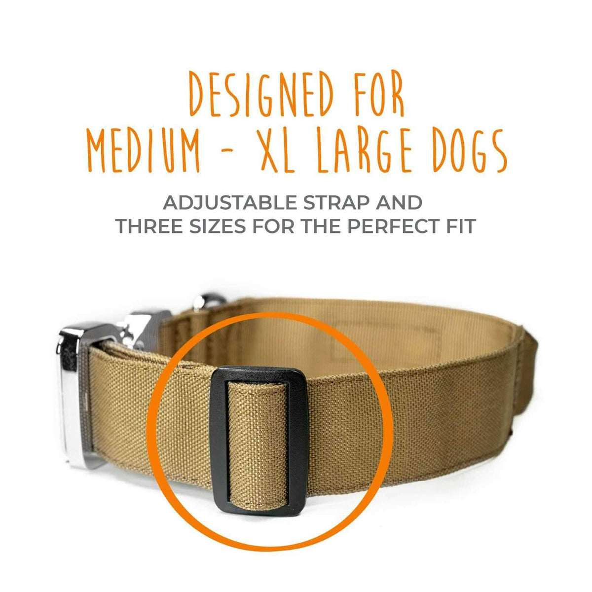 Heavy Duty Dog Collar with Metal Buckle H673