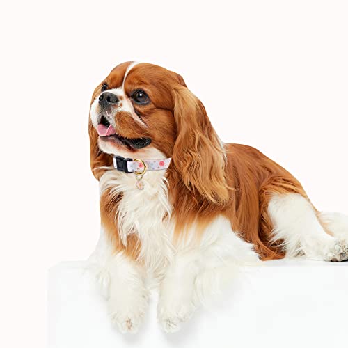 White Peach Dog Collar with Pendant (Small) V233380