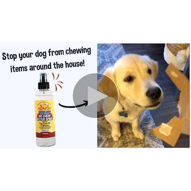 Extra Strength No Chew Bitter Spray L798