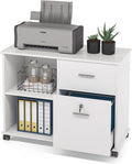 2 Drawer White Mobile File Cabinet with Lock and Shelves F8225