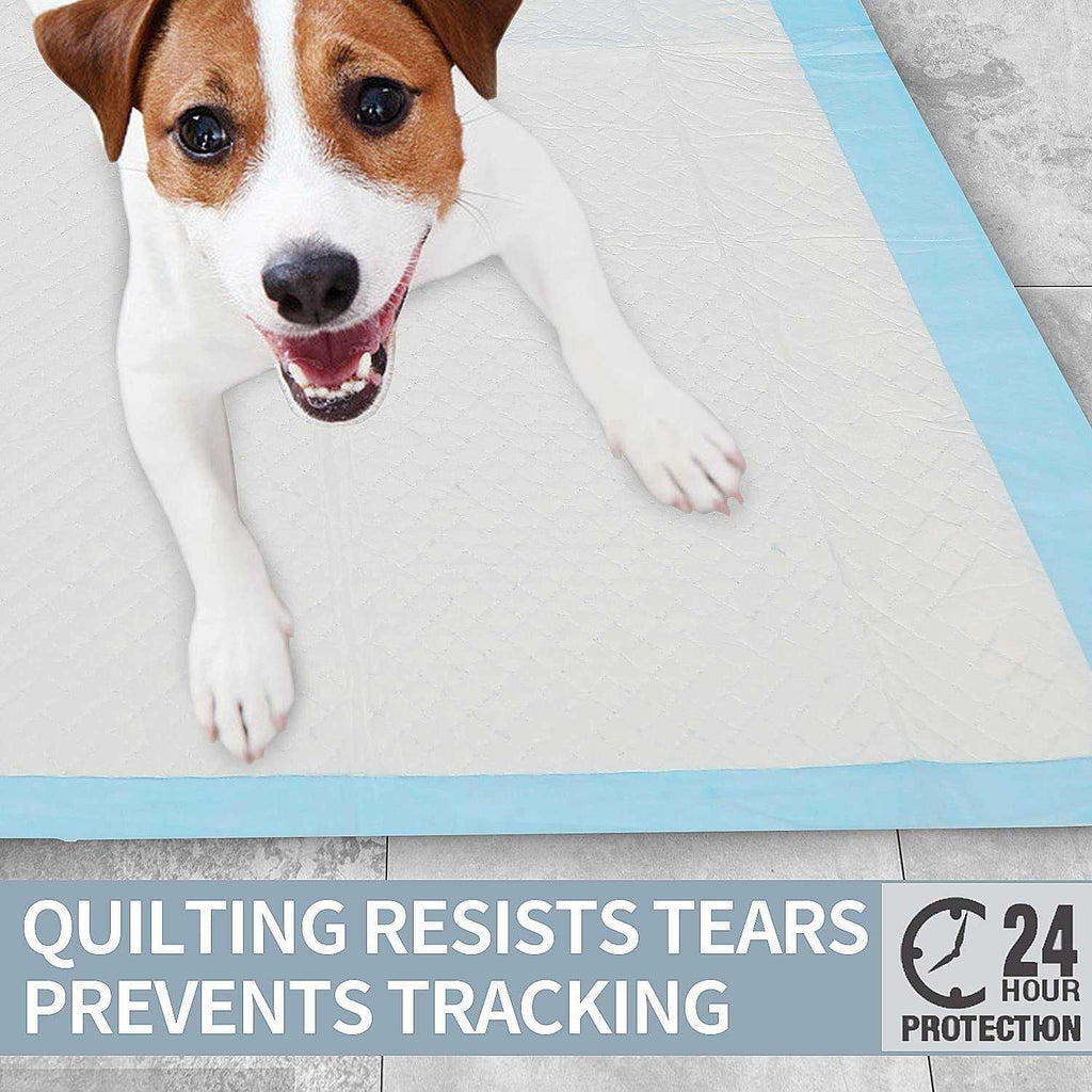 Super Absorbent & Leak-Proof Dog Pee Training Pads D761