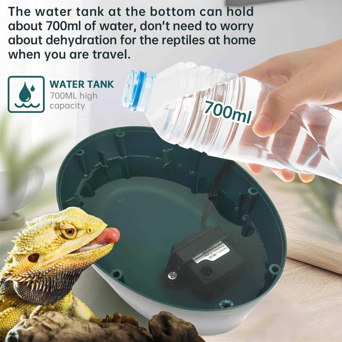 Reptile Drinking Water Fountain with Trough Y5766