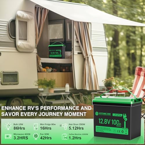 12V 100Ah LiFePO4 Lithium Battery, Mini Deep Cycle Rechargeable, 100A BMS T552
