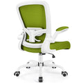 Ergonomic Mesh Office Chair with Lumbar Support Black E71933