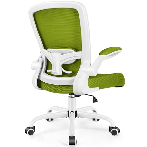 Ergonomic Mesh Office Chair with Lumbar Support Black E71933