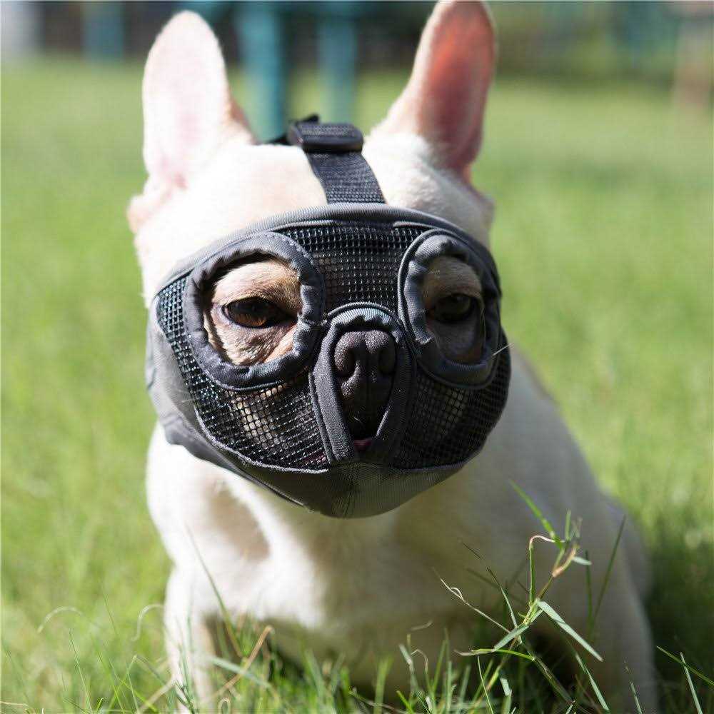 Adjustable Breathable Mesh Short Snout Dog Muzzle L995909