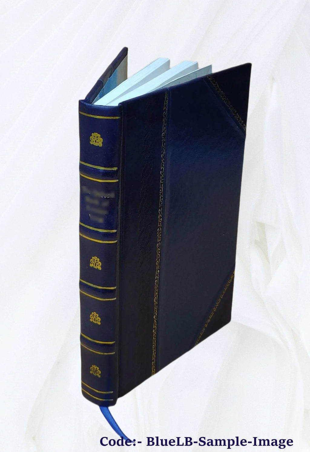 Leather Bound Book J58396