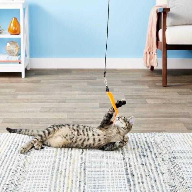 5 Piece Replacement Pack of Worms for Cat and Kitten Toy Wands R89989