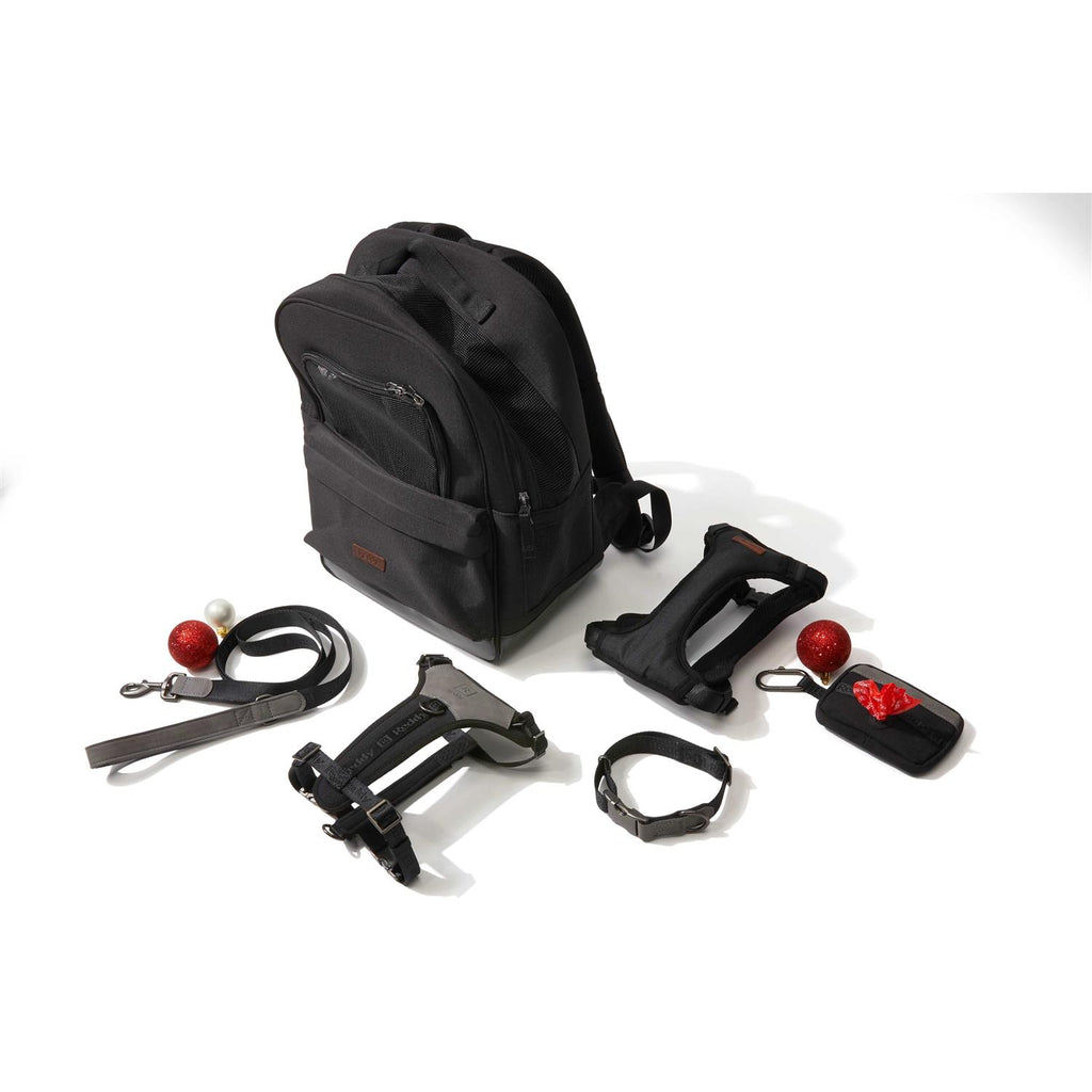 6' Dog Lead F7264