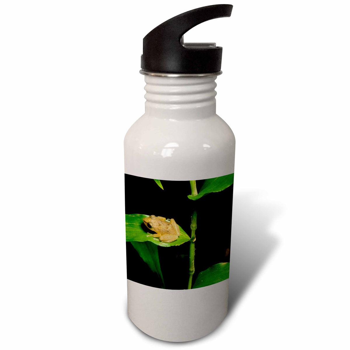 21 oz Sports Water Bottle A695916