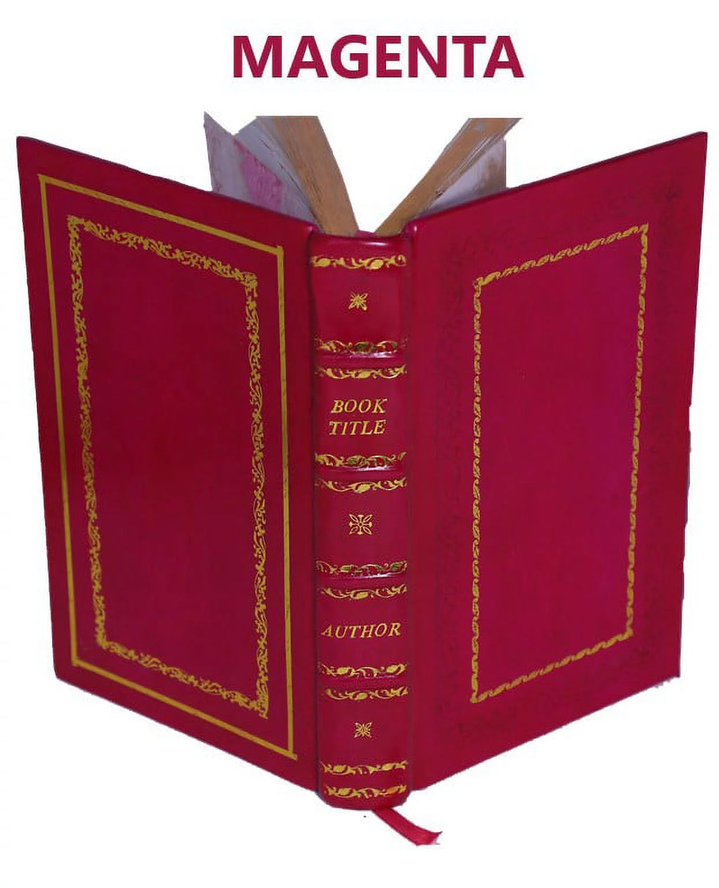 Memoirs of Walsingham Secretary of State 1695 Premium Leather Bound W7223