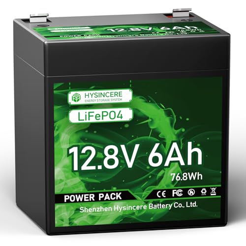 12V 100Ah LiFePO4 Lithium Battery, Mini Deep Cycle Rechargeable, 100A BMS T552