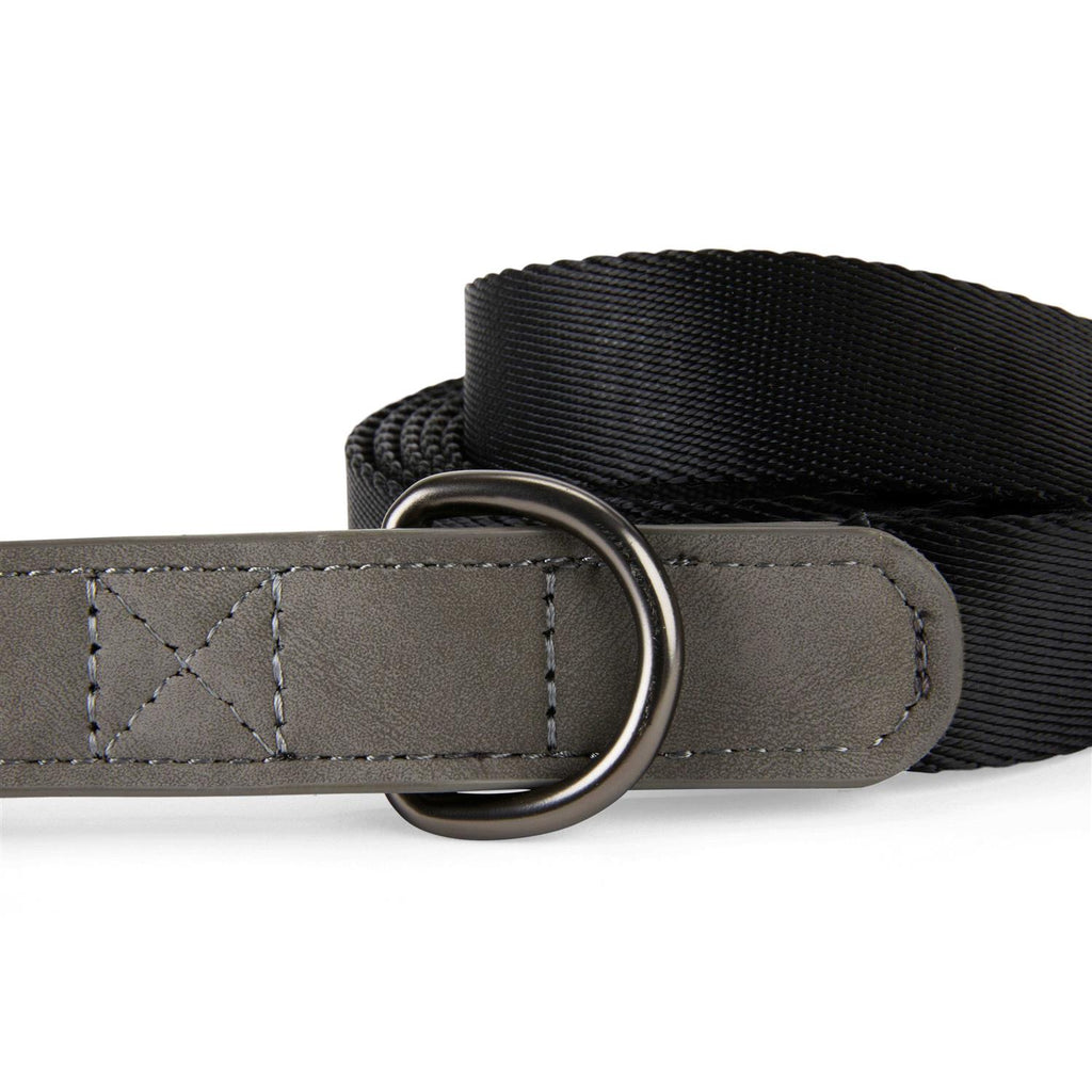 6' Dog Lead F7264