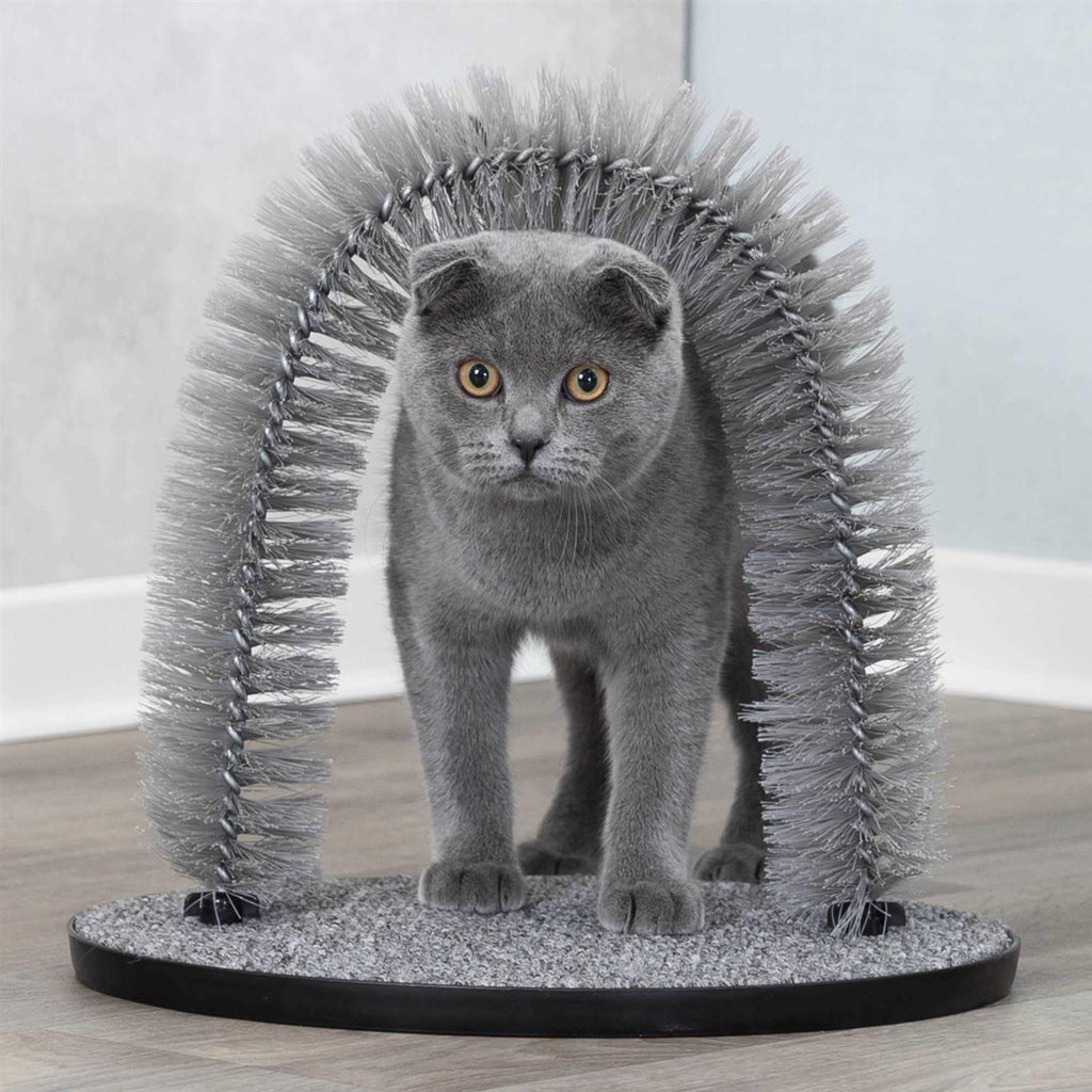 Self Grooming Arch & Cat Massager B702830
