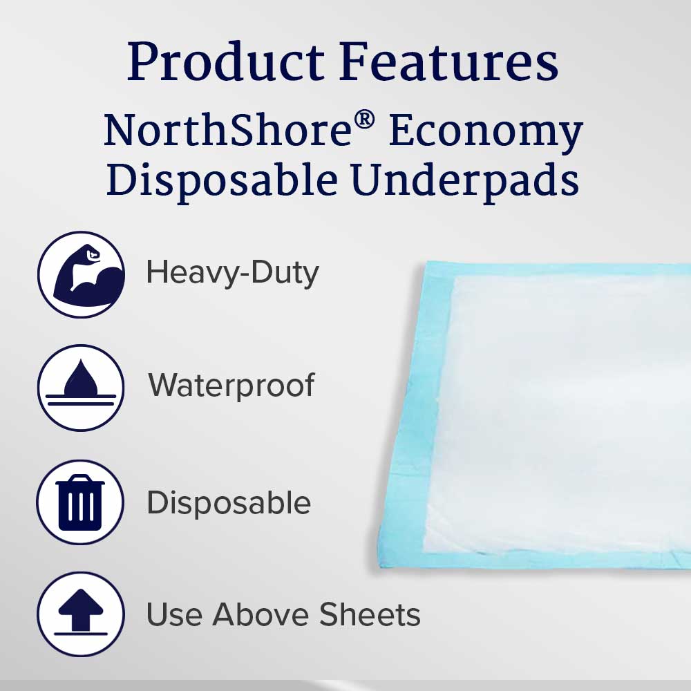 Economy Disposable Underpads, Small, 17x24 in., Case/200 D41016